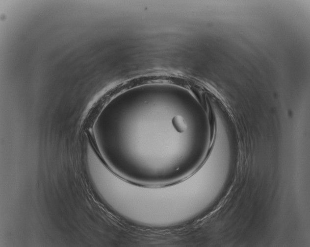 X0000086321310200704091102