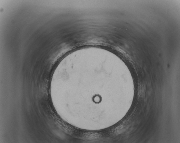 X0000086321314200704091102