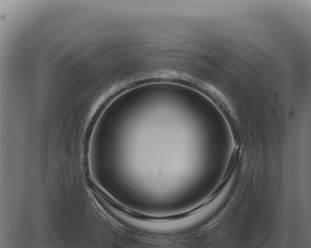 X0000086321326200704091102