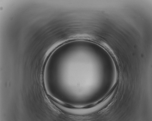 X0000086321336200704091103