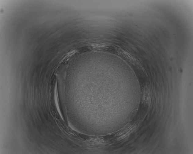 X0000086321346200704091102