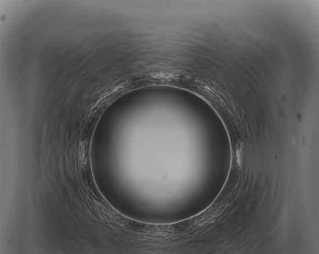 X0000086321347200704091102