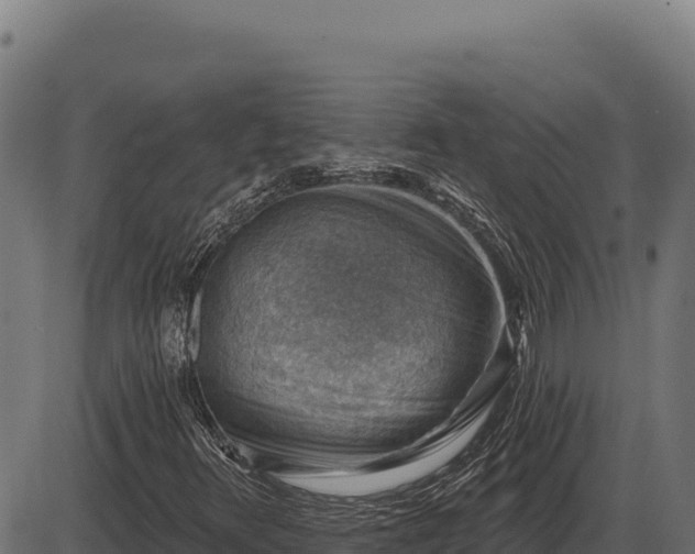 X0000086321348200704091102