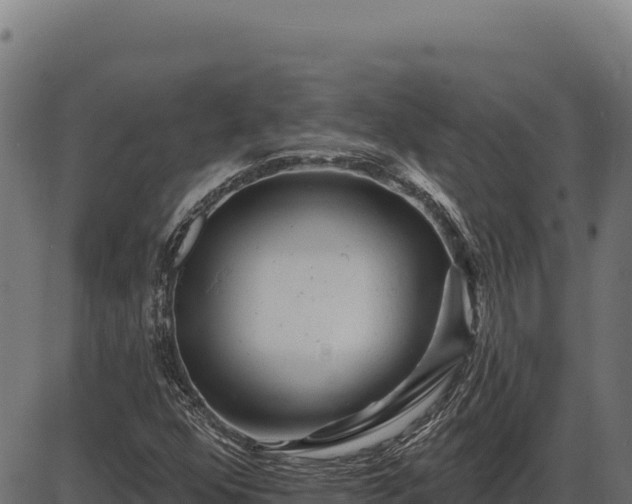 X0000086321352200704091102