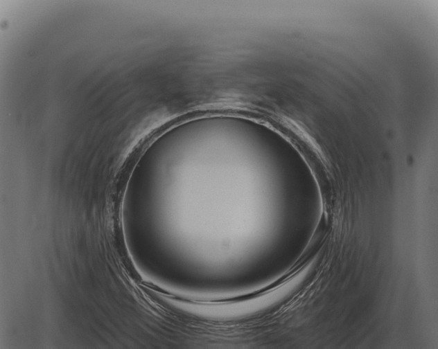 X0000086321356200704091102