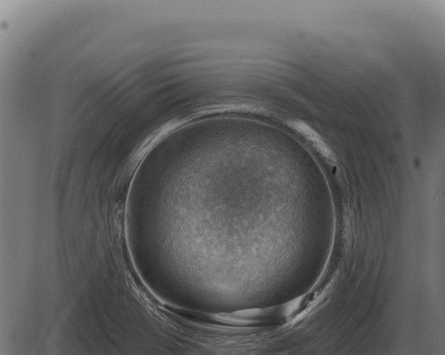 X0000086321369200704091101