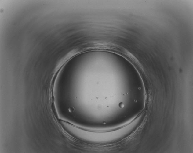 X0000086321370200704091101