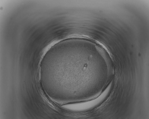 X0000086321371200704091101