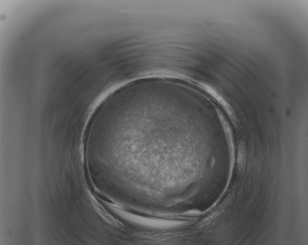 X0000086321372200704091101