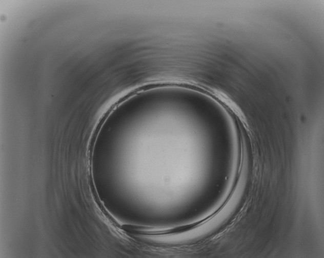 X0000086321380200704091101