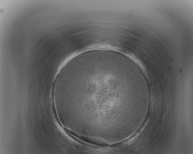 X0000086321382200704091101