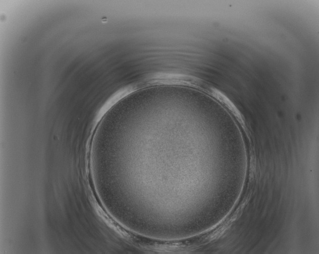 X0000086321386200704091101