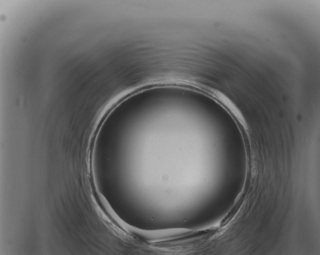 X0000086321388200704091101