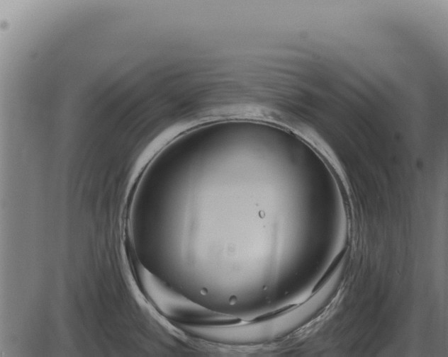 X0000086321389200704091101