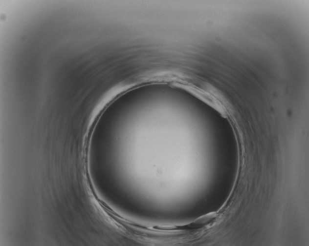 X0000086321392200704091101