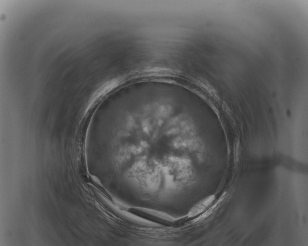 X0000086321405200704091100