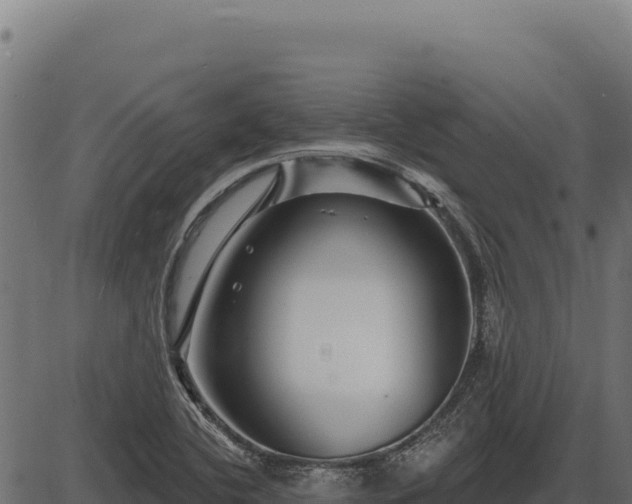 X0000086321412200704091101