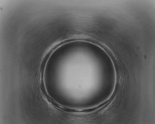 X0000086321414200704091101