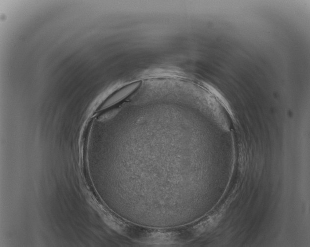 X0000086321419200704091101