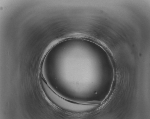 X0000086321421200704091101