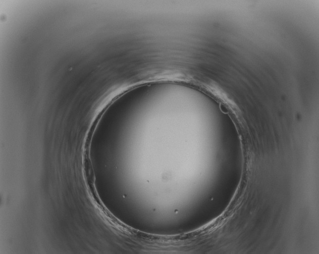 X0000086321423200704091101