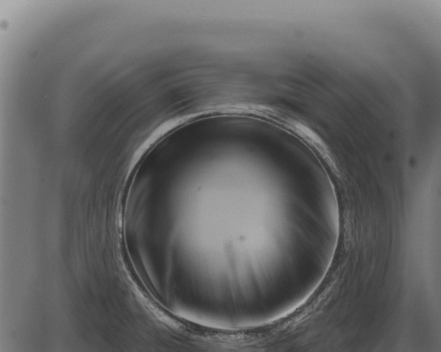X0000086321428200704091101