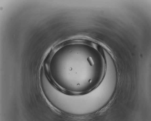 X0000086321430200704091101