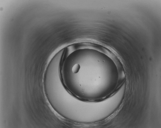 X0000086321438200704091101