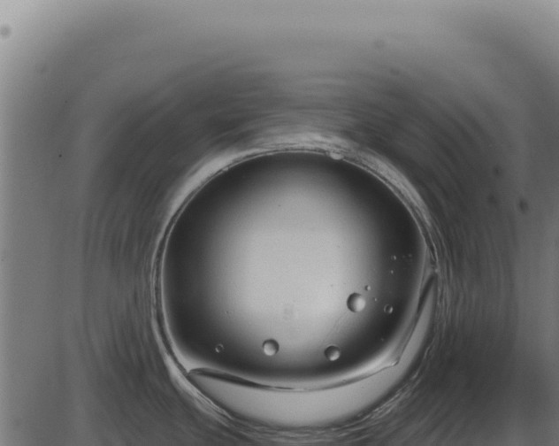 X0000086321439200704091101