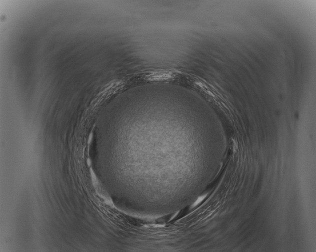 X0000086321441200704091100