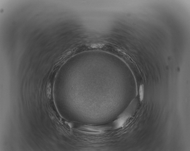 X0000086321443200704091100