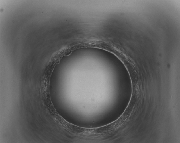 X0000086321447200704091100