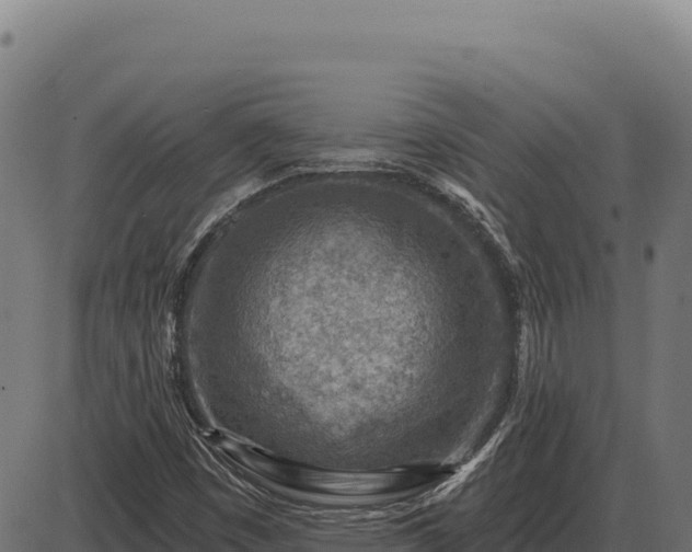 X0000086321449200704091100