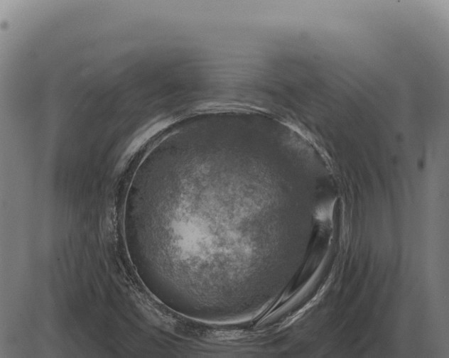 X0000086321453200704091100