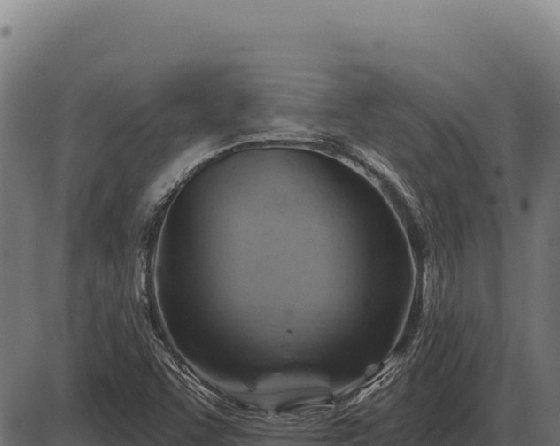 X0000086321455200704091100