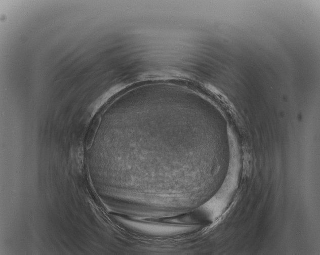 X0000086321457200704091100