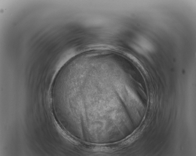 X0000086321466200704091100