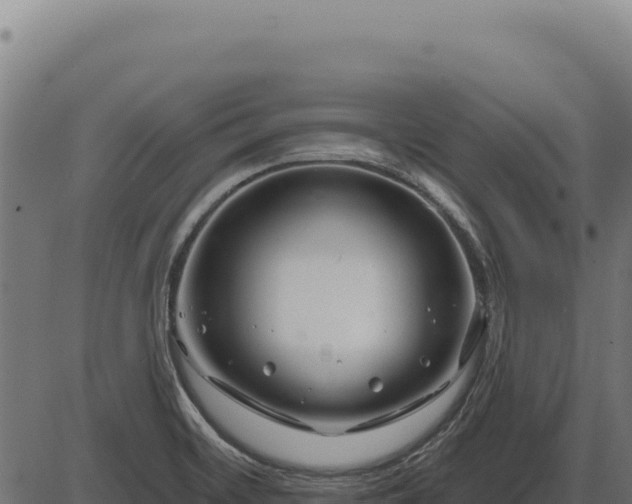 X0000086321468200704091100