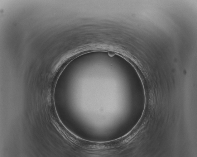 X0000086321499200704091059