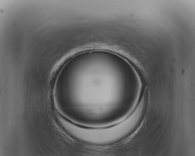 X0000086321502200704091059