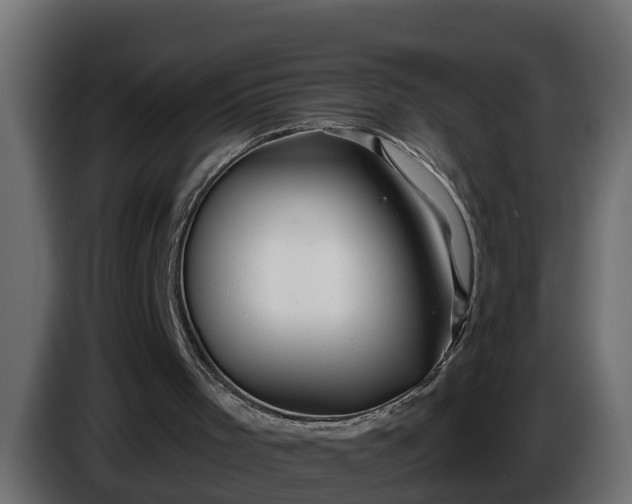 X0000086320001200704131705