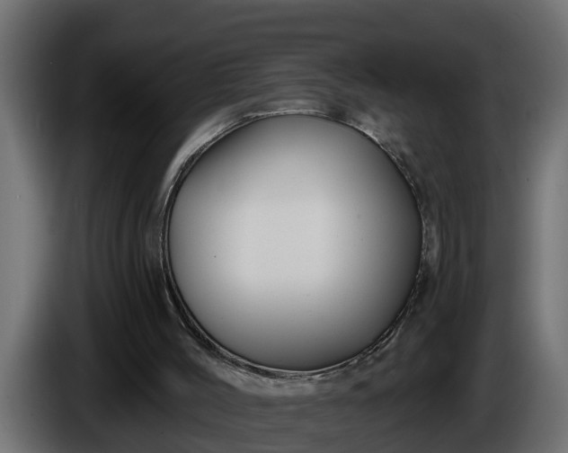 X0000086320004200704131705