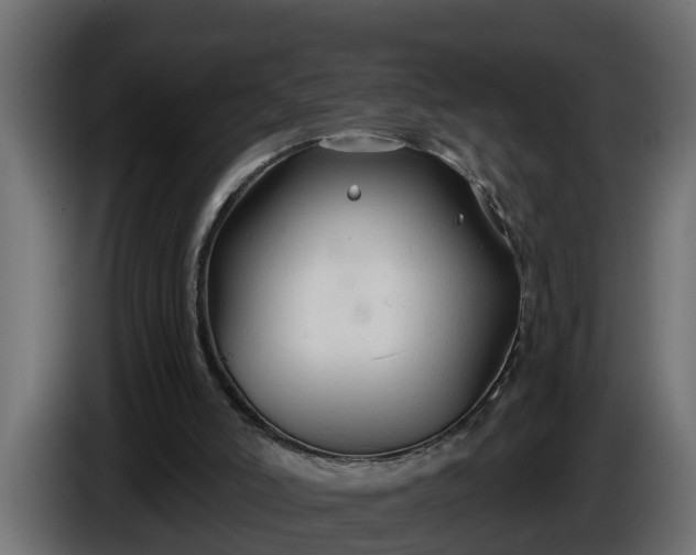 X0000086320006200704131705