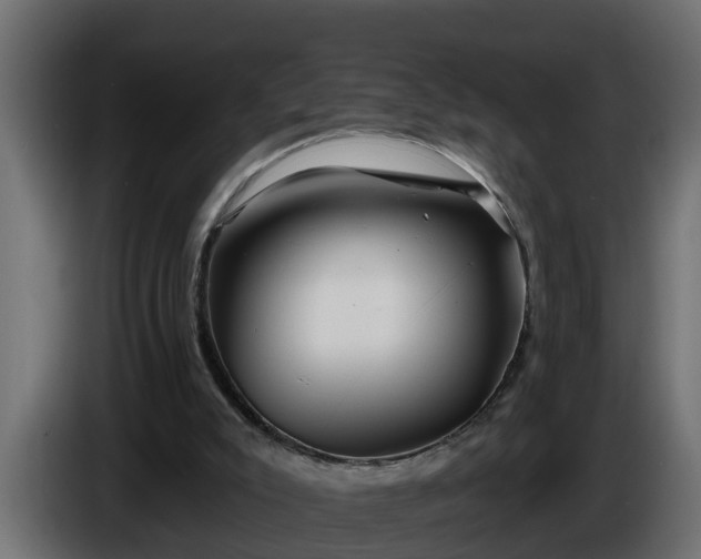 X0000086320007200704131705