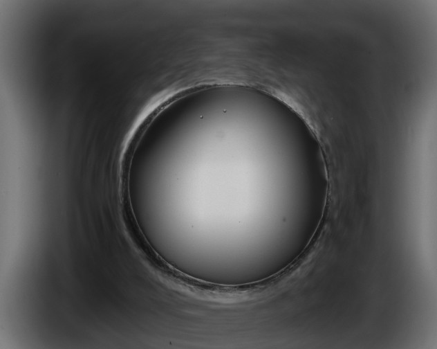 X0000086320008200704131705