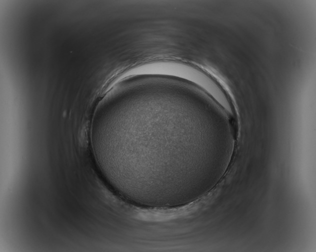 X0000086320009200704131705