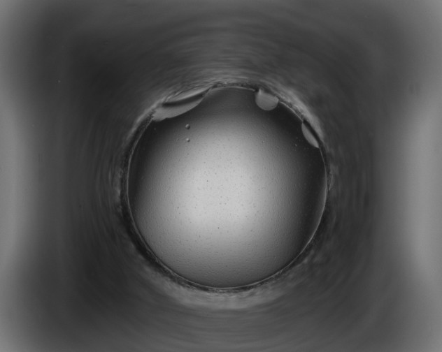 X0000086320010200704131705