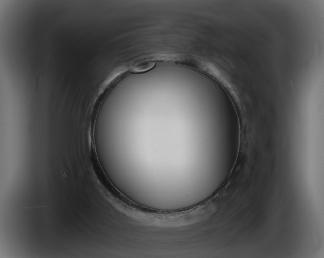 X0000086320011200704131705