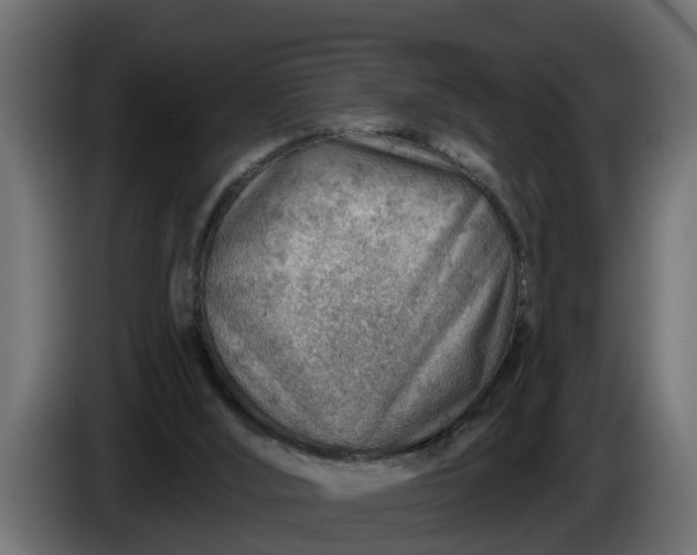 X0000086320012200704131705