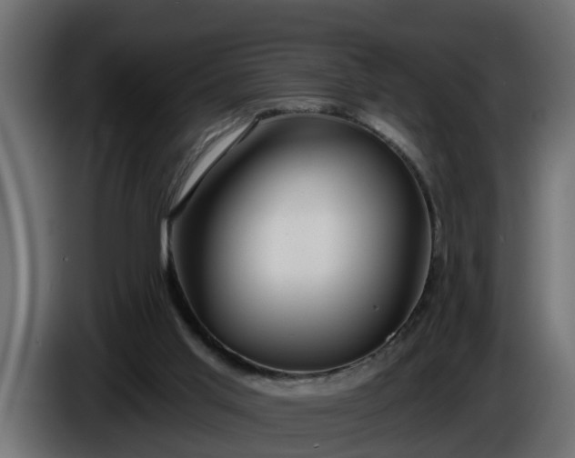 X0000086320013200704131705